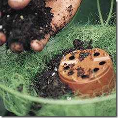 Planting hanging flower ball container garden: gardener's hand adding compost to basket that will form top of flower ball; inverted pot for watering point, moss lining;