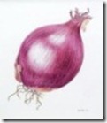 Purple_onion.summ