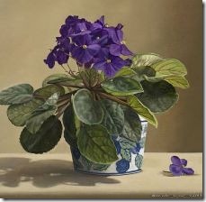 african-violet-plant-leaf-cutting-800x800