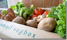 A-Riverford-veg-box-007
