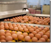 Elwyn Griffiths, Oakland Farm Eggs, Wem, Shropshire.