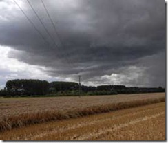 Wet Harvest, Warren Barn Farm, Thale, Oxfordshire
